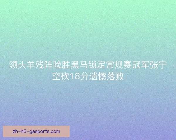 领头羊残阵险胜黑马锁定常规赛冠军张宁空砍18分遗憾落败
